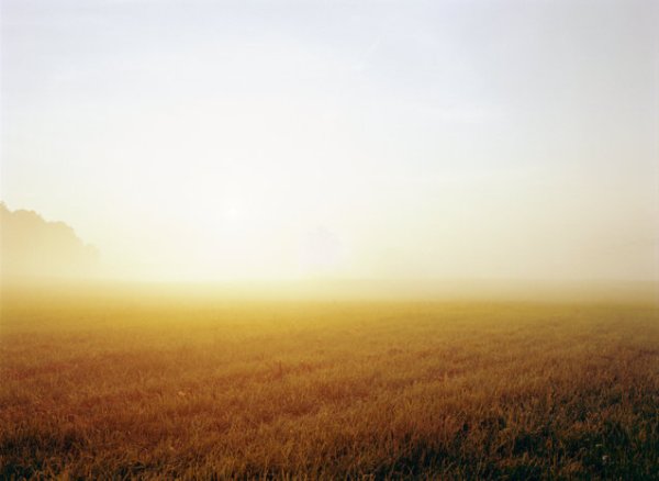 tumblr_m9cnc3UAch1qa84n5o1_1280